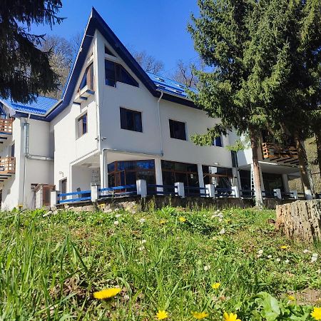 Hotel Parc Geoagiu Băi Buitenkant foto