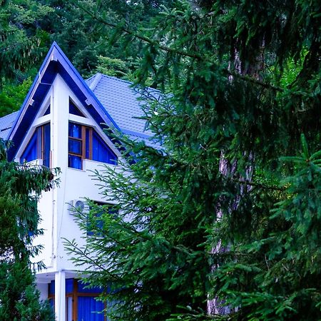 Hotel Parc Geoagiu Băi Buitenkant foto