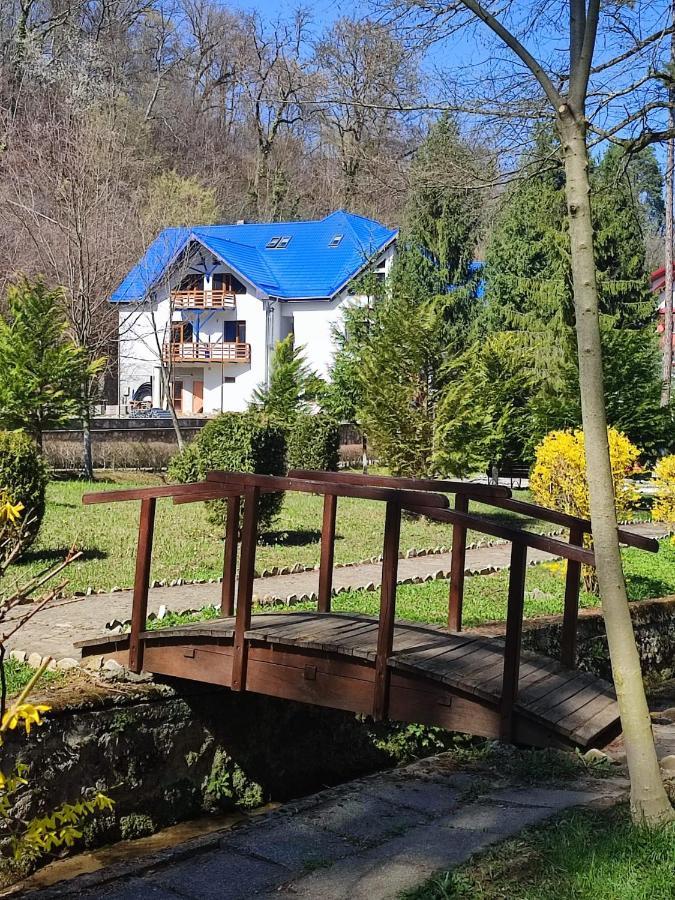 Hotel Parc Geoagiu Băi Buitenkant foto