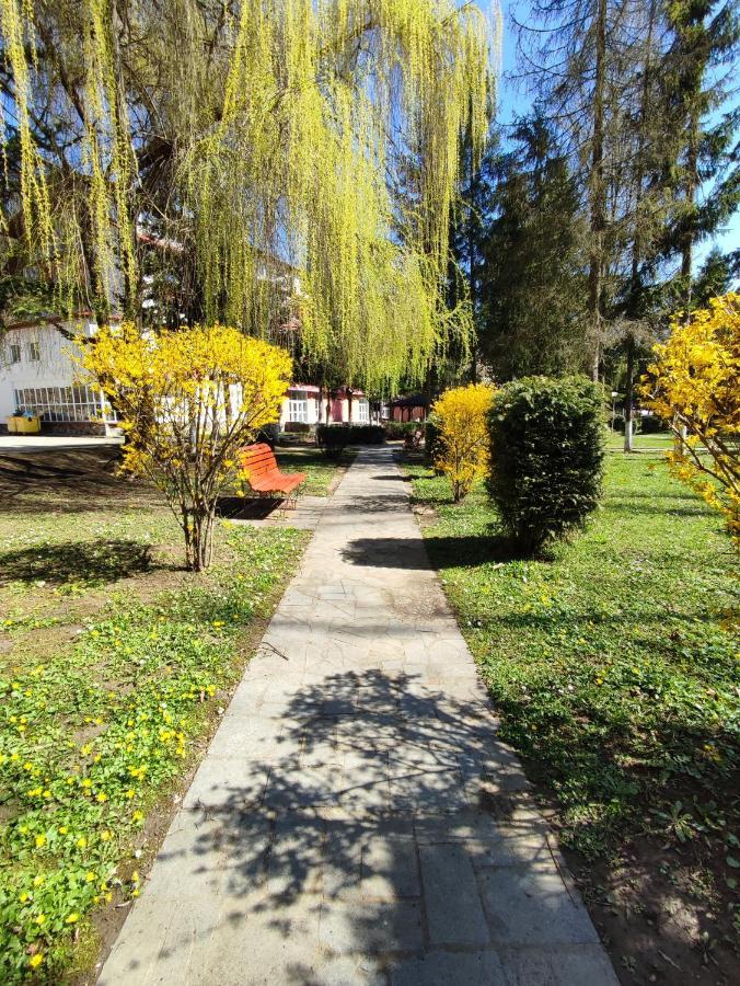 Hotel Parc Geoagiu Băi Buitenkant foto