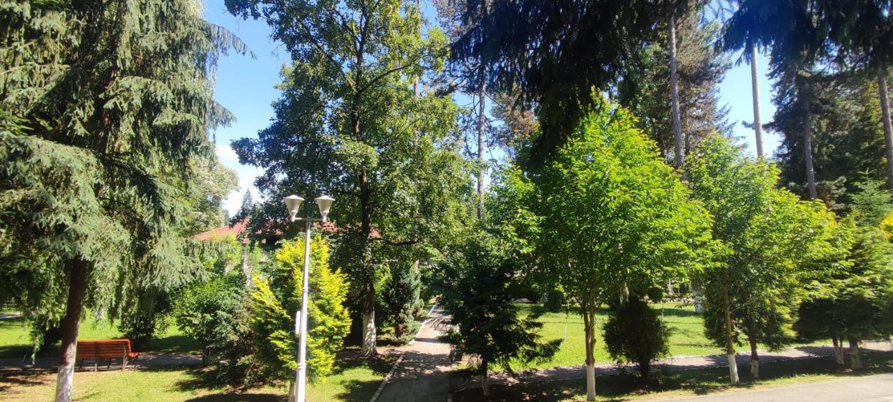 Hotel Parc Geoagiu Băi Buitenkant foto