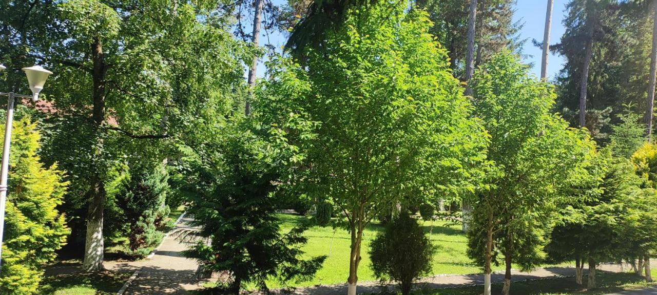 Hotel Parc Geoagiu Băi Buitenkant foto