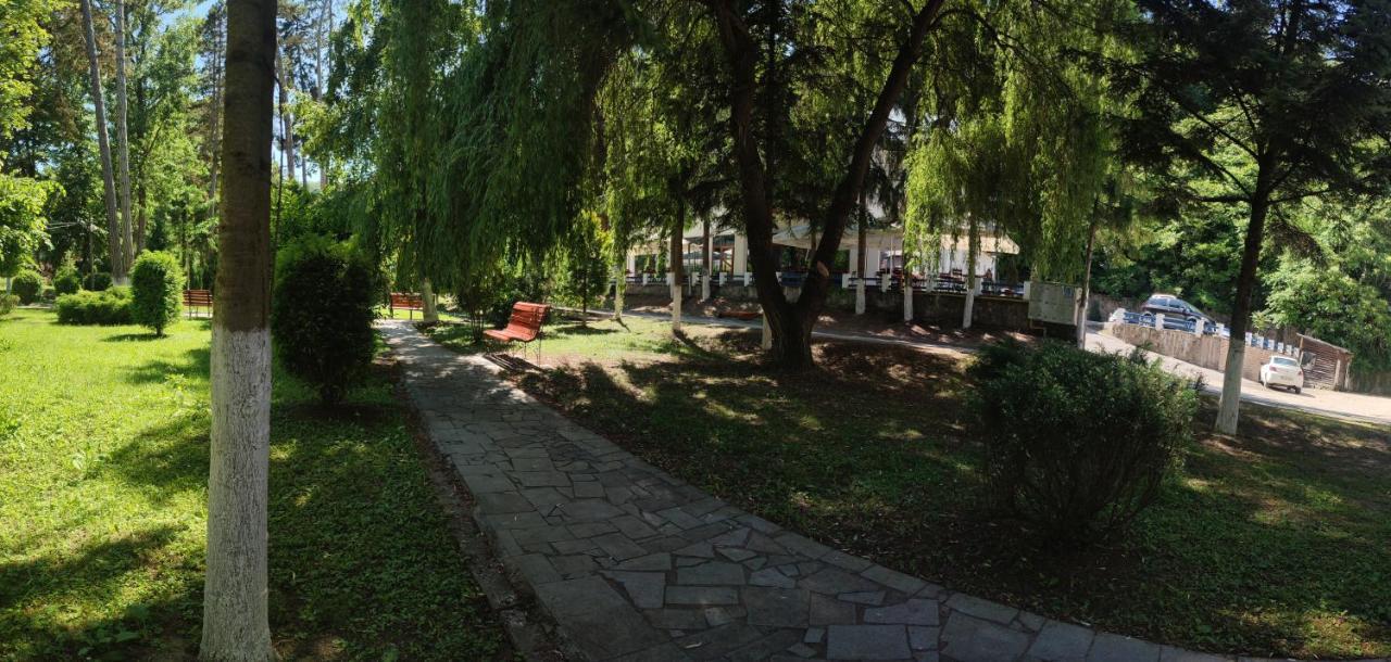 Hotel Parc Geoagiu Băi Buitenkant foto