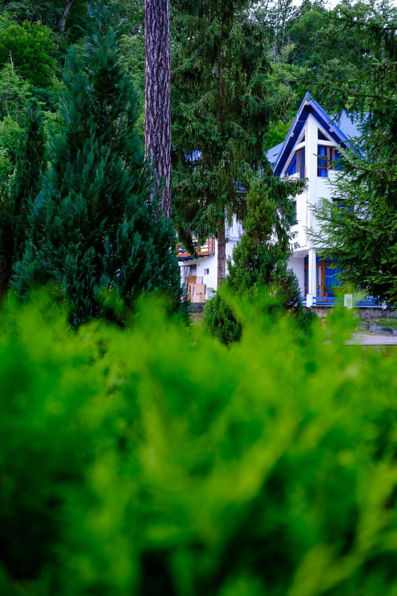 Hotel Parc Geoagiu Băi Buitenkant foto